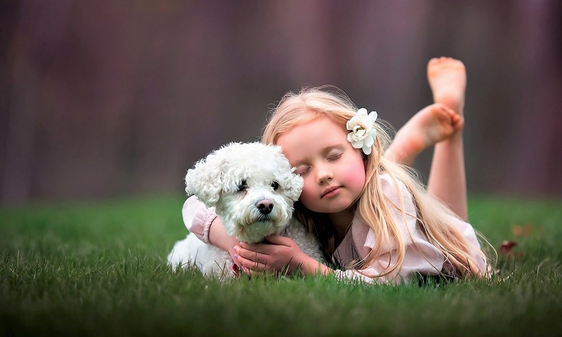 Dog Breeds That Are Good With Children