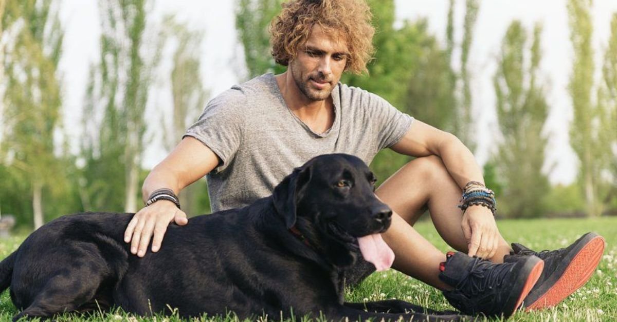 Dog Breeds That Are Prized For Their Athleticism