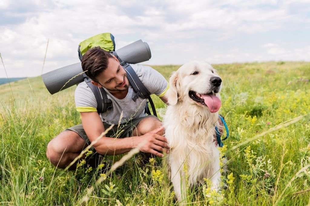 Dog Friendly Activities To Enjoy With Your Furry Friend