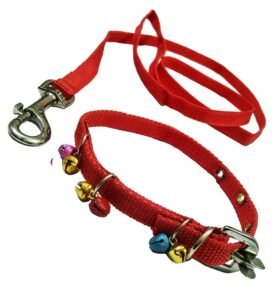 Puppy Dogs Collar Belt and Leash