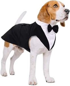 Puptail Dog Suit or Dog Tuxedo and Bandana Set