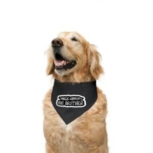 Ruse reversible dog bandanas