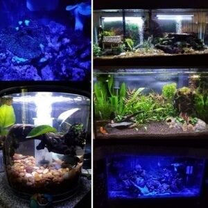 BURAQ Aquarium Essentials Fish Tank Multi Color Light