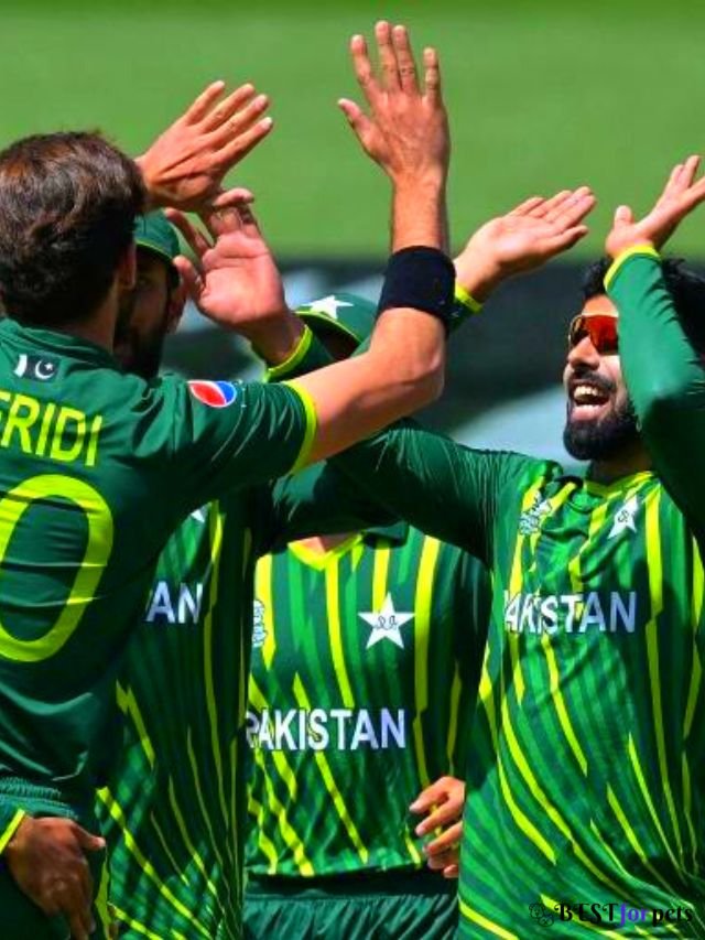 New Zealand vs Pakistan T20I Highlights (6)