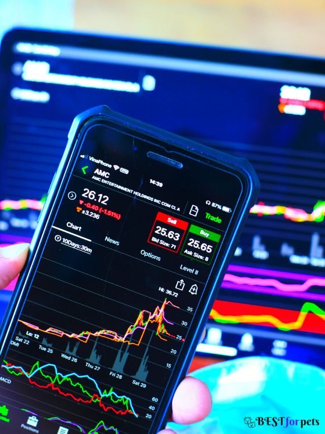 The 7 Best Stock Apps of 2022