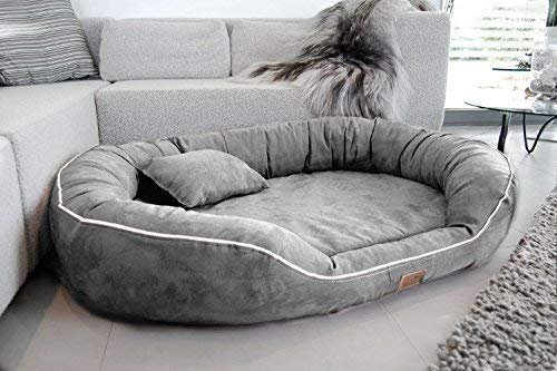 PETITUDE Premium XXXL Dog Bed for Extra Large Dogs