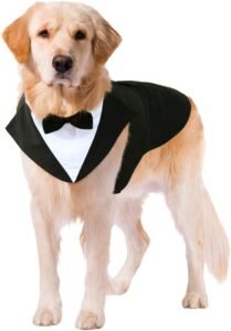 Puptail Dog Suit or Dog Tuxedo & Bandana Set