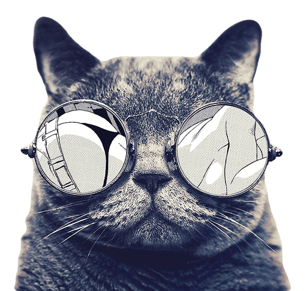 cat eyeglass img